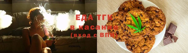 PSILOCYBIN Заводоуковск