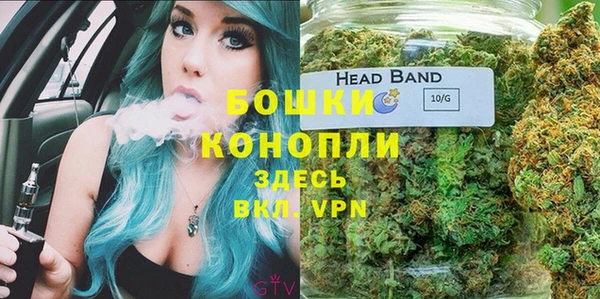 бошки Алексеевка