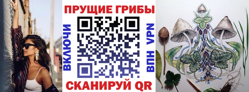 Псилоцибиновые грибы прущие грибы  Дмитриев 